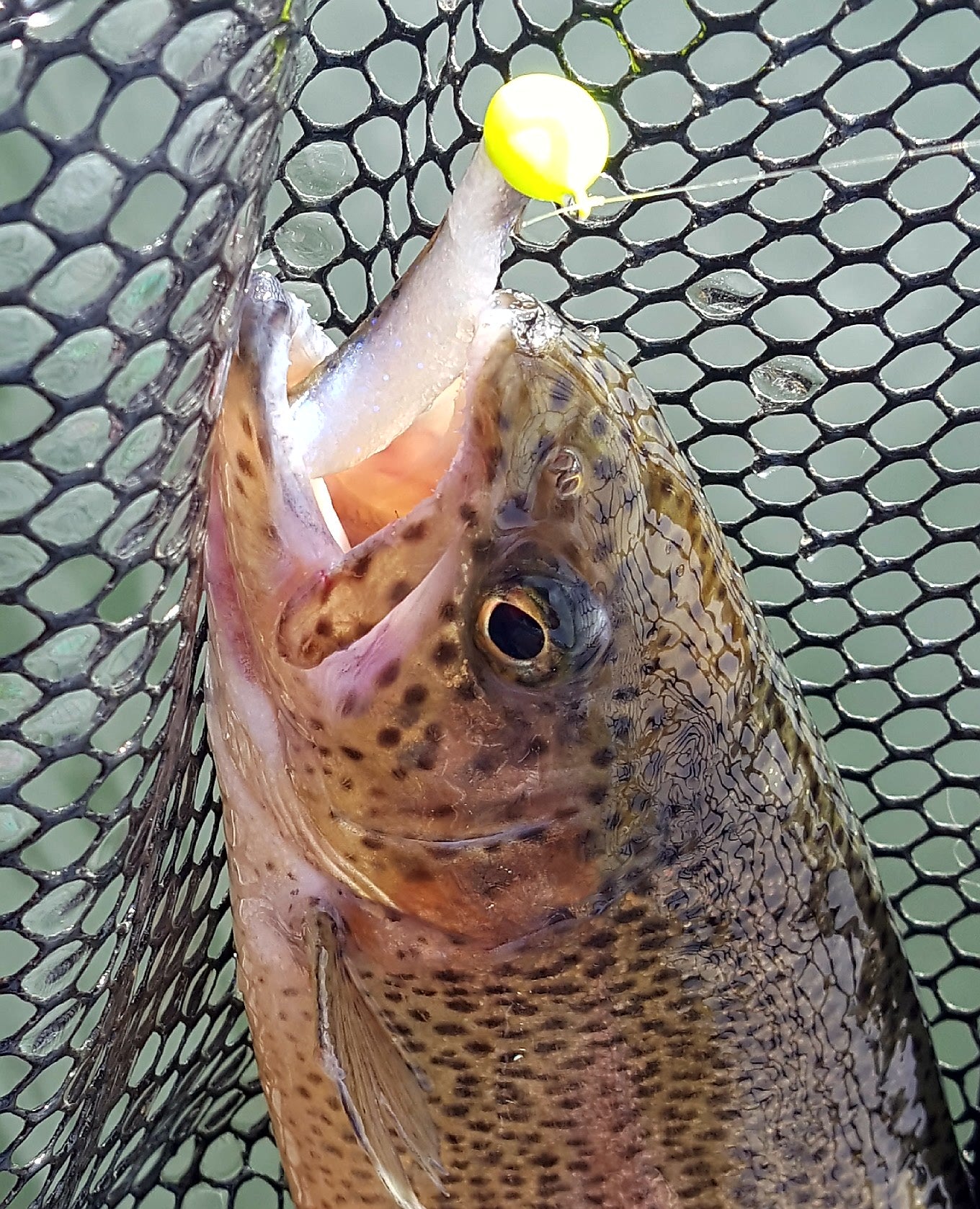 1/16 oz. Sickle Hook Size #4 (10 Pack) 5 Colors Available - Jade's Jigs 1/16 oz. Sickle Hook Size #4 (10 Pack) 5 Colors Available - Jade's Jigs